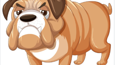 Clipart:6flsthamxjw= Dog