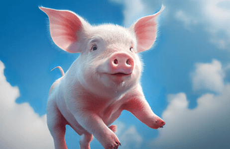 Cute:Pamwaummhqs= Pig