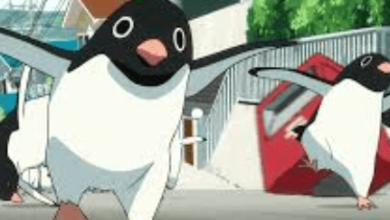 Anime:77ddsm9bsp0= Penguin