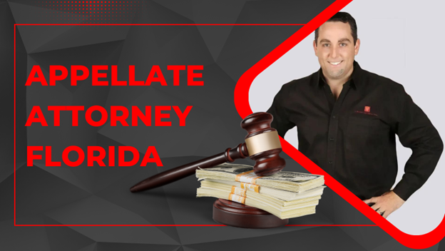 What Qualities Should You Look for When Hiring an Appeal Lawyer in Florida?