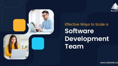 Business with Outsourced Software Teams