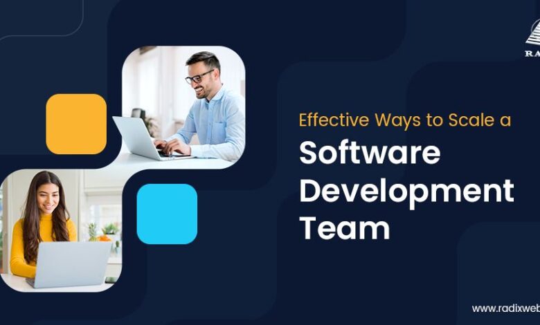 Business with Outsourced Software Teams