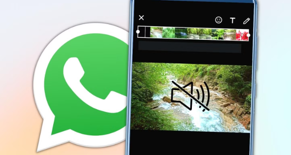 Optimize WhatsApp Video Viewing on Your Smartphone