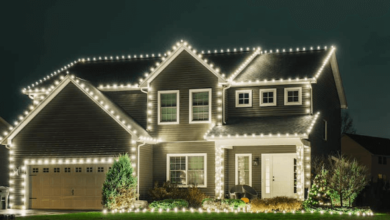 Christmas Light Installation