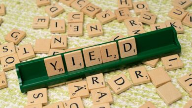 dividend yield management group