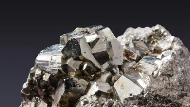 moti oswa small pyrite