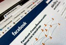 web platform support contact