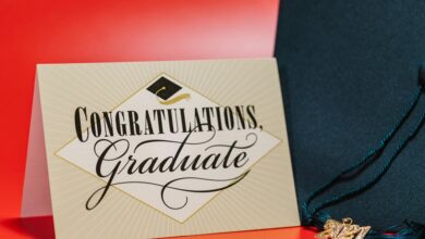 apex momentum start innovative achievements