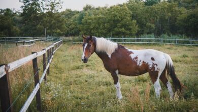 catalyst flow start across