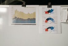 insight catalyst project id 8338701889