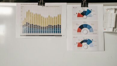 insight catalyst project id 8338701889