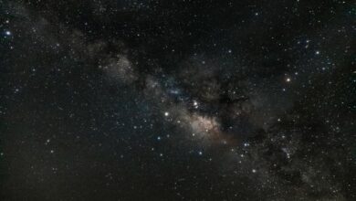 stellar horizon start 8475581255