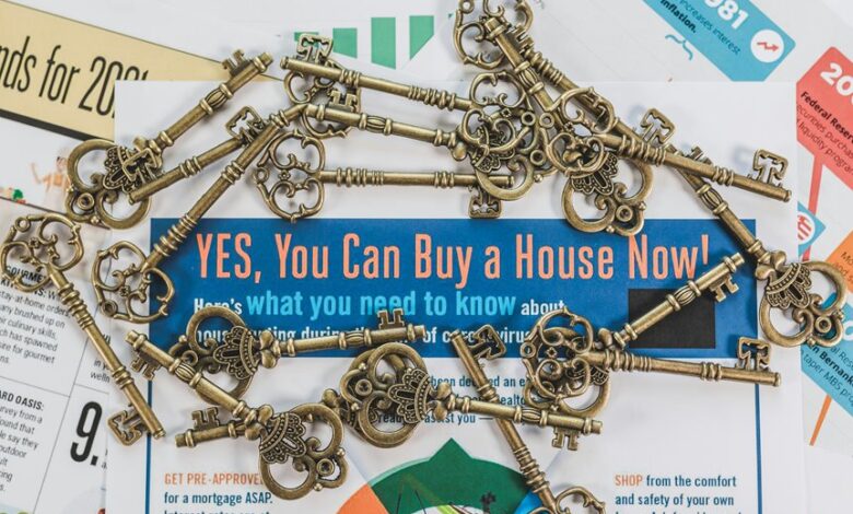 stellar nexus start driving market opportunities