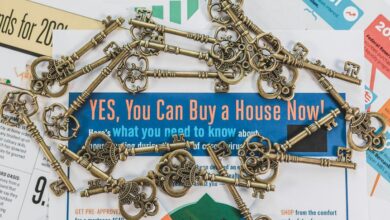 trailblazing drive fueling market opportunities