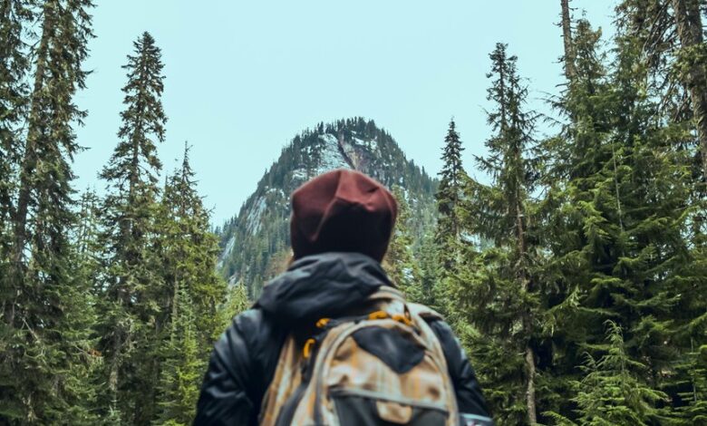 trailblazing edge start ventures