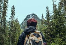 trailblazing flow across ventures