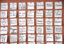 visionary momentum across projects