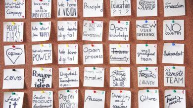 visionary momentum across projects