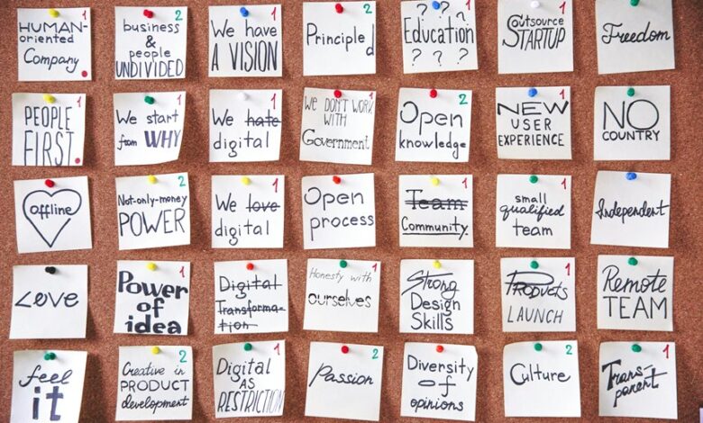 visionary momentum across projects