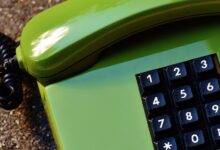 number registry profiles for five numbers
