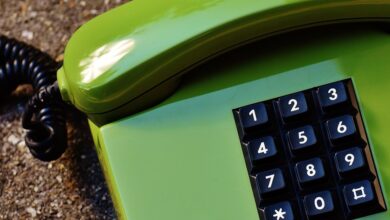 number registry profiles for five numbers