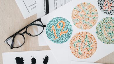 number registry search results identified by ids
