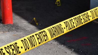 registry entries investigation numbers 3391824514 3668914317 3458058034 3511408991 3294270204