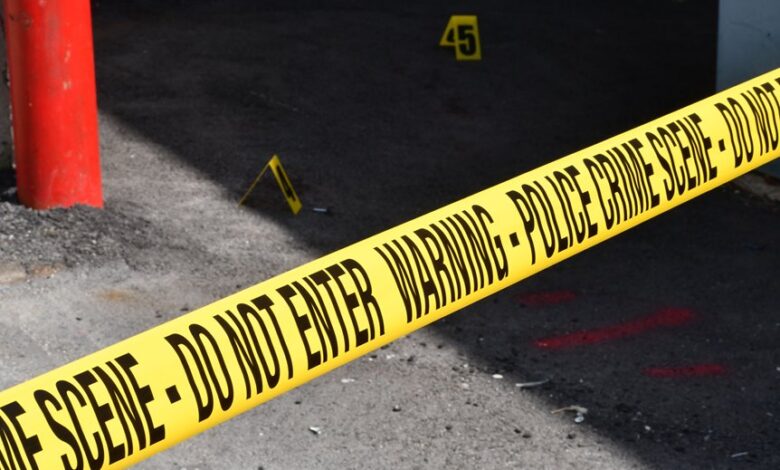 registry entries investigation numbers 3391824514 3668914317 3458058034 3511408991 3294270204