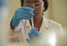 registry investigation results for specific ids
