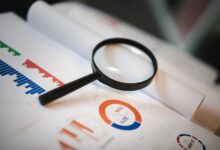 registry numbers search reports
