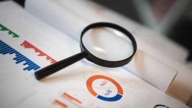 registry numbers search reports