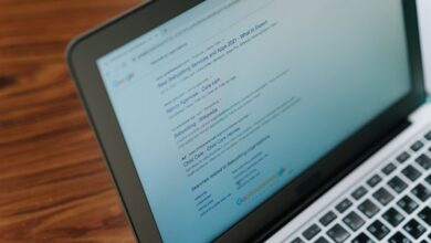 registry search results contain ids and numbers