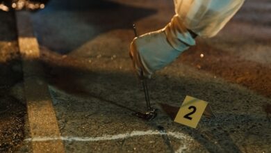 review numbers and investigations listed