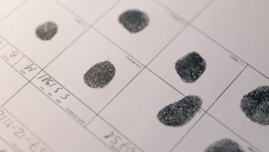 track public registry evidence ids